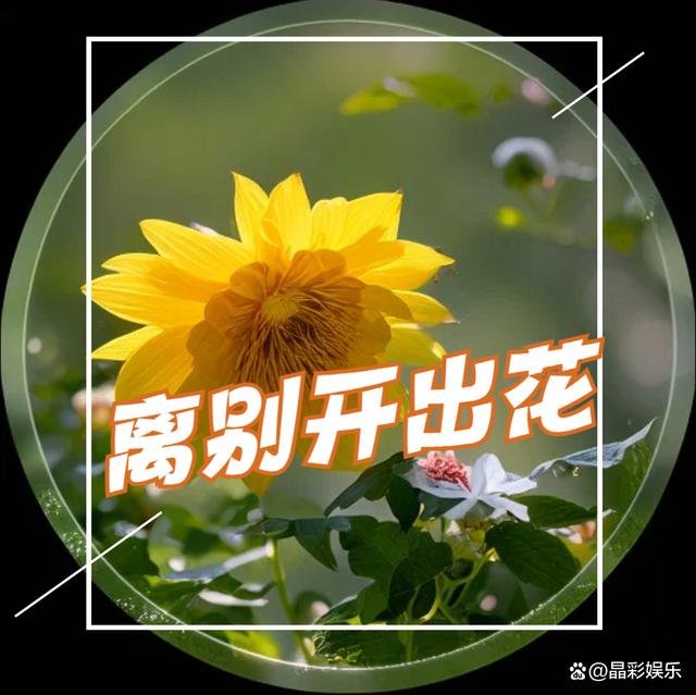 最新歌曲2024年最火歌曲大全  第2张