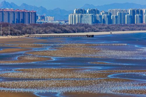 全国十大旅游度假区，二刷的魅力等你来发现