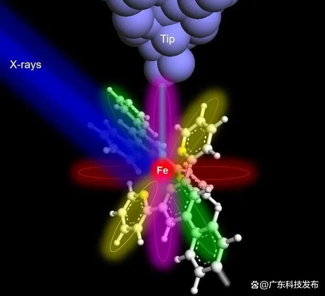 白小姐一肖一码准最新开奖结果_2023年国际十大科技新闻揭晓  第5张