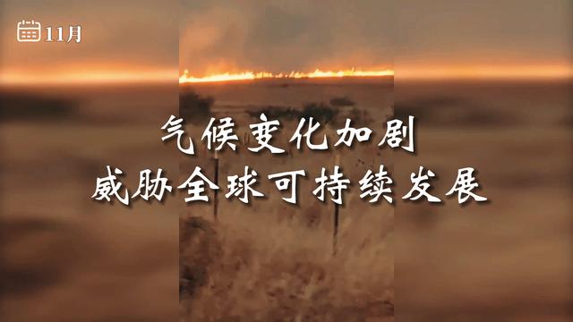 7777888888管家精准资料,2023，与世界一同走过——新华社评出2023年国际十大新闻  第10张