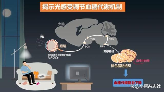 澳门一肖一码期期准资料1_「科学强国」重磅！2023年度中国科学十大进展发布