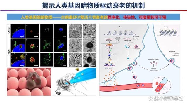 澳门一肖一码期期准资料1_「科学强国」重磅！2023年度中国科学十大进展发布