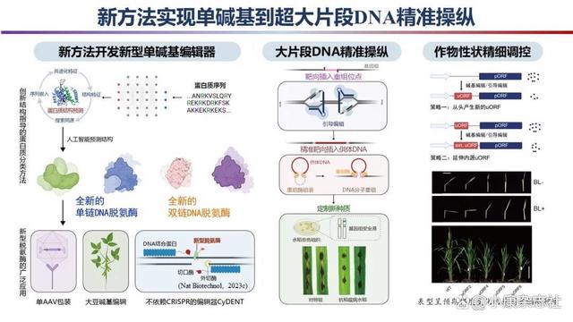 澳门一肖一码期期准资料1_「科学强国」重磅！2023年度中国科学十大进展发布