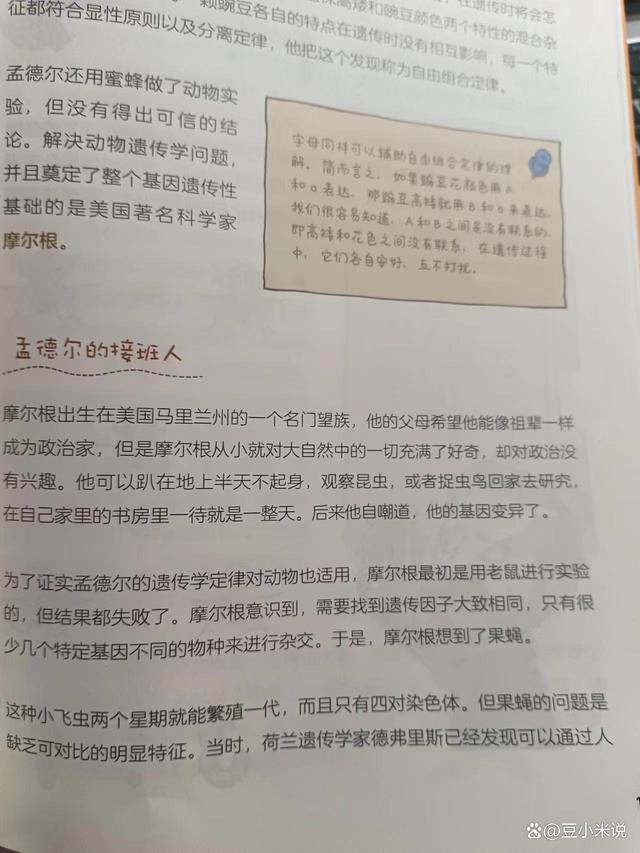 四肖三肖必开期期准精准_为什么孩子要上科学课？如何让孩子学习科学，培养科学思维