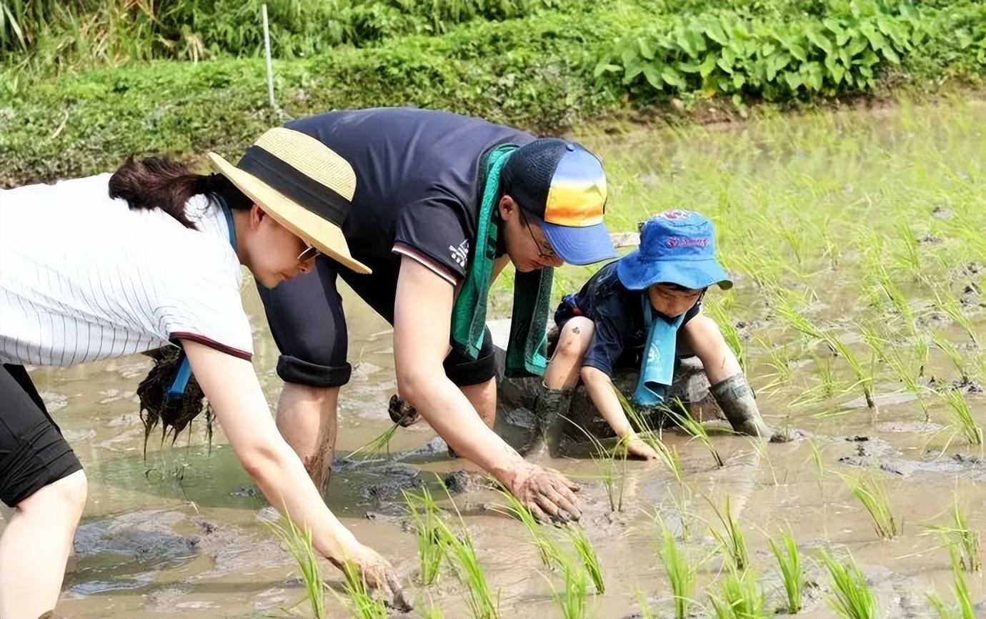 澳门2024精准资料全年免费,郭晶晶为名车宣传，低调装扮惹热议，网友盛赞：这才是真豪门  第26张