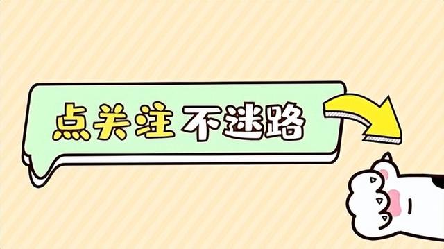 白小姐4肖必中一肖_探秘马尔代夫库达度私人岛：奢华度假胜地的极致享受  第1张