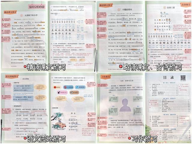 新澳2024年精准资料32期,别轻易给孩子辅导功课，小心把娃带坑里！过来人吐血经验总结