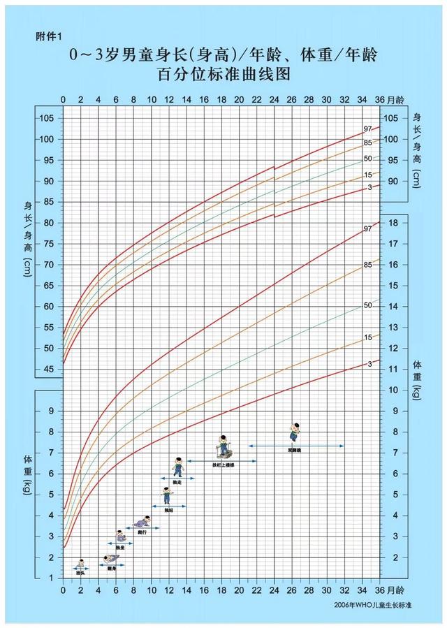 管家婆精准资料马会传真,定期体检、科学喂养！助力婴幼儿生长发育