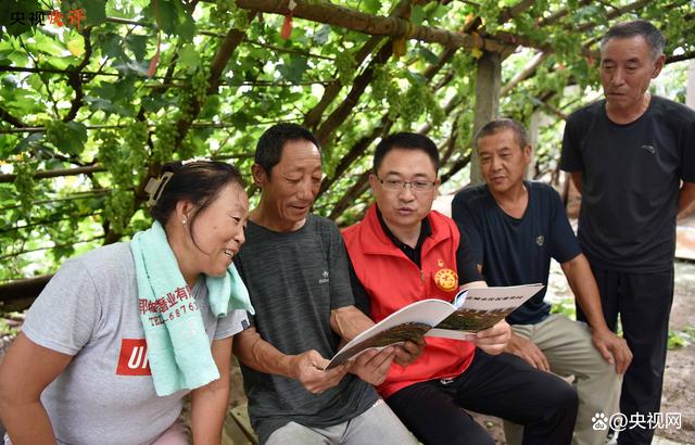 二四六香港资料期期准现场开码,「央视快评」把主题教育探索的好经验好做法转化为长效机制