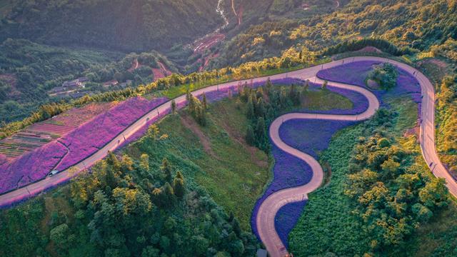 澳门精准的资料大全一肖一码_世外乡村·海子山国家森林康养基地，避暑胜地