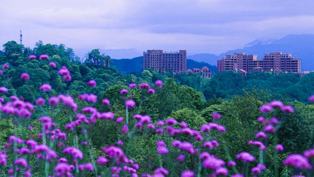 澳门精准的资料大全一肖一码_世外乡村·海子山国家森林康养基地，避暑胜地