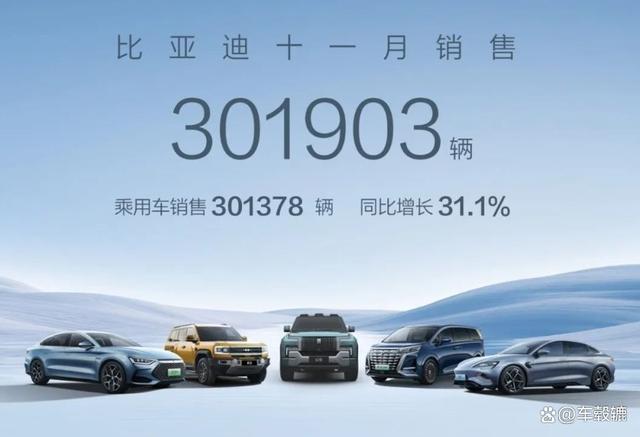 2024新奥门资料最精准免费大全_中国汽品牌11月销量发布，比亚迪继续领跑，奇瑞再创佳绩