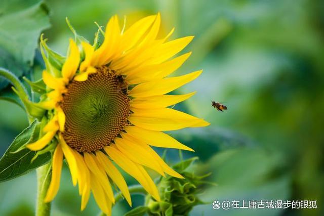 新澳天天开奖资料大全,生活，简单点！  第1张