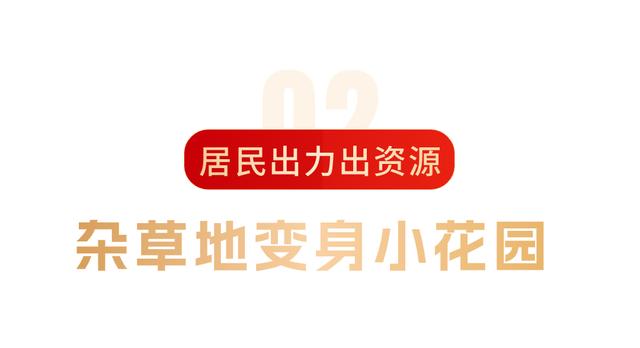 新奥资料免费精准2024_这个小区网球场够City  第6张