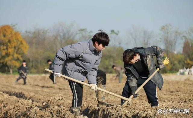 澳门天天开奖结果出来_2024最火的四大综艺，浪姐上榜，《歌手》屈居第二，第一实至名归