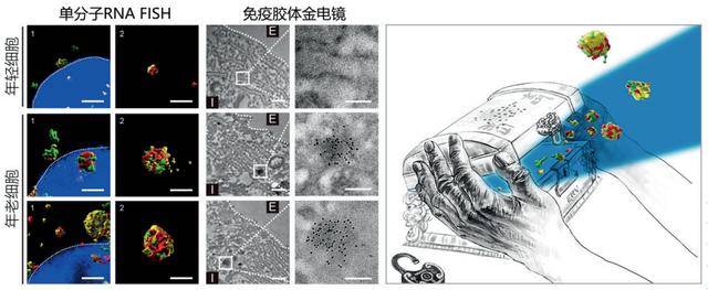 2024新澳门资料大全_2023年度中国科学十大进展发布