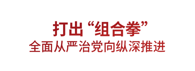 2024新澳免费资料大全_时政微观察丨将自我革命进行到底  第7张