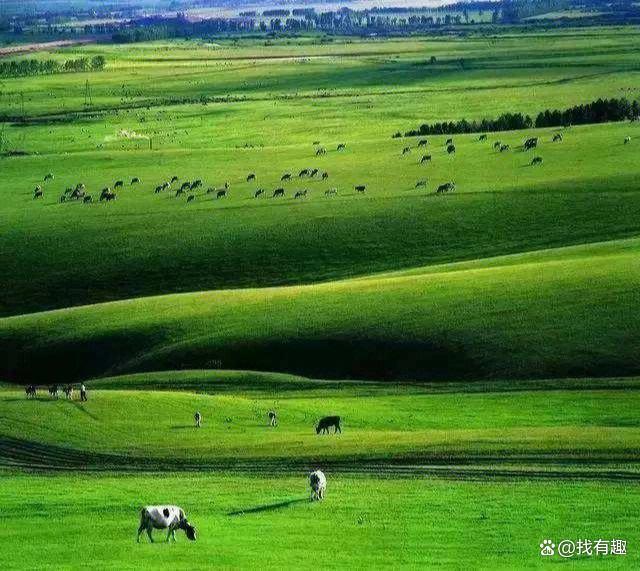 一白小姐一一肖必中特_旅游推荐排行榜前十名