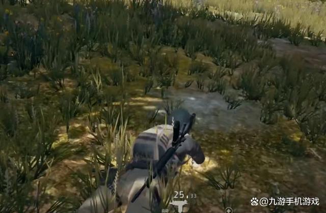 香港最新正版四不像_绝地求生新手入门玩法攻略 pubg新手要开加速器玩吗  第7张