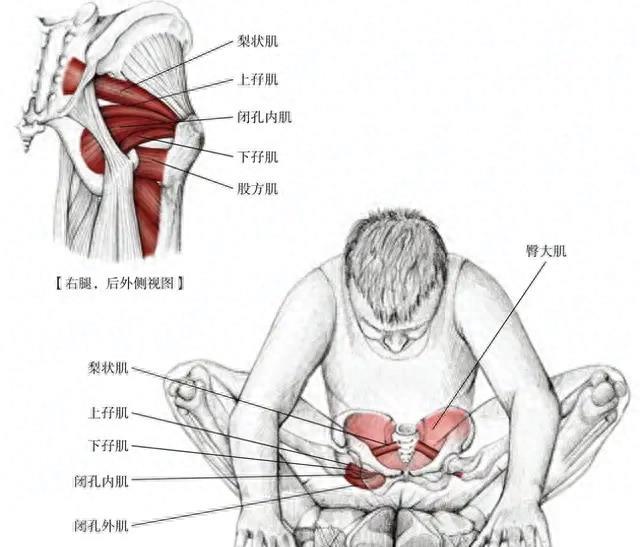 澳门天天开奖记录开奖结果查询,盘点四大可能消失的体育运动，它们为什么被淘汰？  第21张