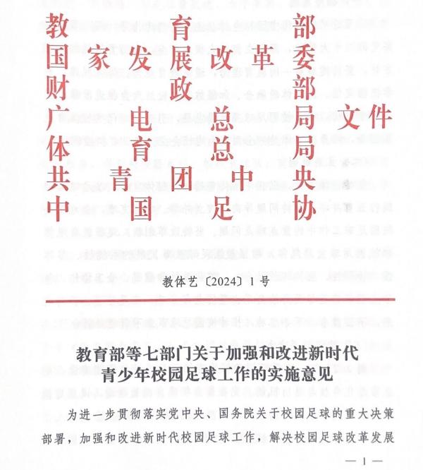 新澳管家婆资料2024年85期,2024Q1全国体育政策汇总：低空经济、足球、青少年体育划重点