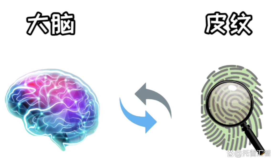 2024年管家婆的马资料56期_天赋解密工具：生物遗传测评  第10张