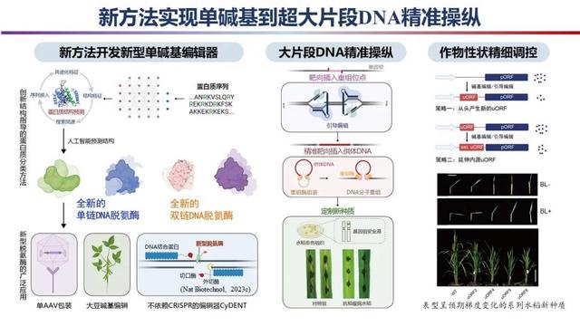 白小姐一肖一码2024年_2023年度“中国科学十大进展”发布