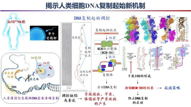 白小姐一肖一码2024年_2023年度“中国科学十大进展”发布