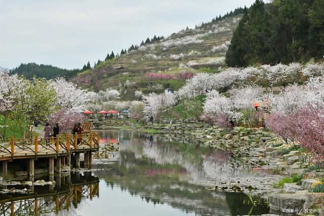 2004新澳门天天开好彩大全,春季旅游最佳去处国内