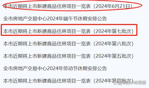 新奥门资料大全正版资料2024年免费下载_上海新房要搞突击了  第3张