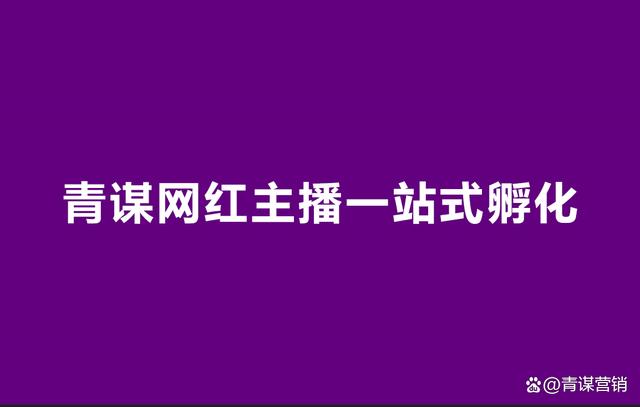 2024新奥资料免费精准051,谁说“无颜值”不能成就网红主播了？