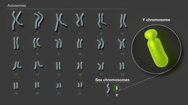 澳门正版资料大全免费网_2023年国际十大科技新闻揭晓丨科技日报