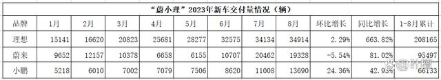 24年新澳彩资料免费长期公开_造车新势力大变局  第8张