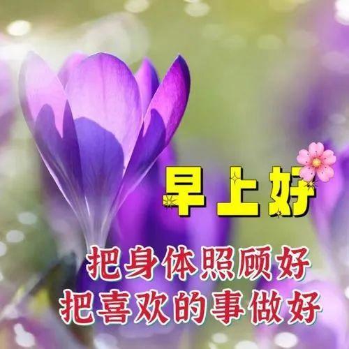 管家婆白小姐开奖记录,早安健康寄语：精选金句，献给追求生活品质的你  第2张