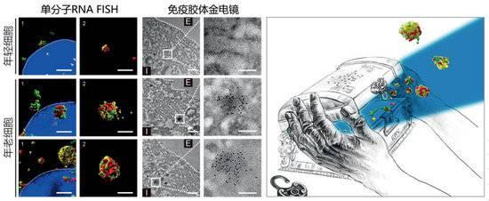 2024正版资料大全免费_2023年度“中国科学十大进展”发布 两院院士把票投给了它们