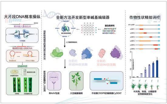 2024正版资料大全免费_2023年度“中国科学十大进展”发布 两院院士把票投给了它们