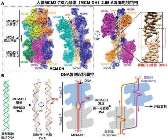 2024正版资料大全免费_2023年度“中国科学十大进展”发布 两院院士把票投给了它们  第7张