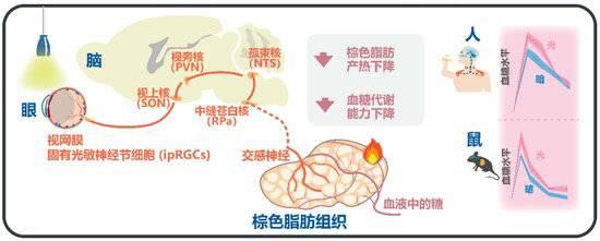 2024正版资料大全免费_2023年度“中国科学十大进展”发布 两院院士把票投给了它们  第10张