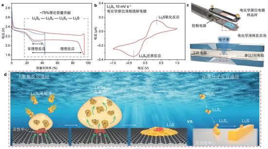 2024正版资料大全免费_2023年度“中国科学十大进展”发布 两院院士把票投给了它们  第11张