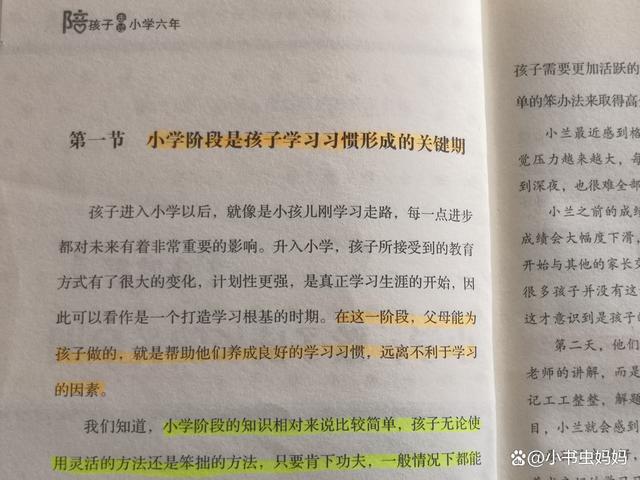 2024澳门免费精准资料,新学期，家长帮孩子养成良好习惯，比超前学习更重要