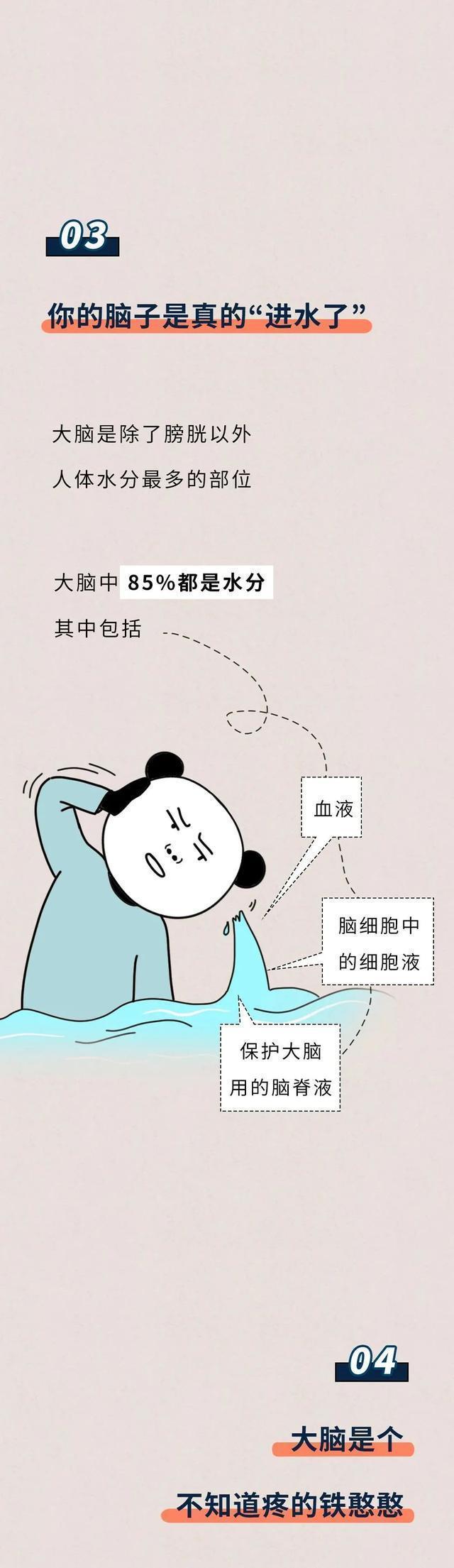 77778888管家婆必开一肖,漫画盘点：关于人体的18个生理知识，未成年人请自行绕道  第5张