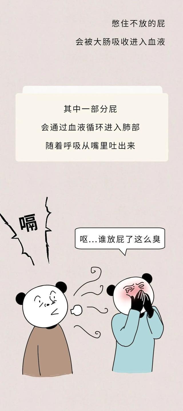 77778888管家婆必开一肖,漫画盘点：关于人体的18个生理知识，未成年人请自行绕道  第13张