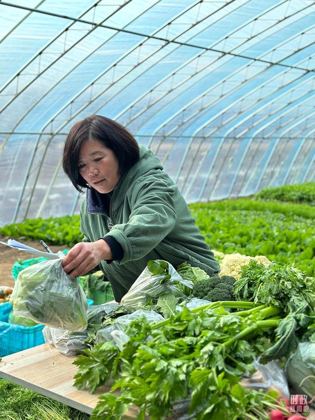 精准内部资料长期大公开,时政新闻眼丨习近平赴天津，这一趟考察的温暖与深意  第5张