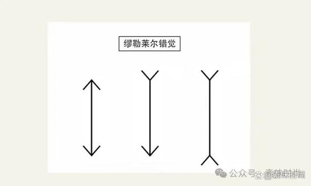 2024年澳门正版资料大全_七大显高显瘦穿衣小技巧，掌握了看起来至少瘦10斤！