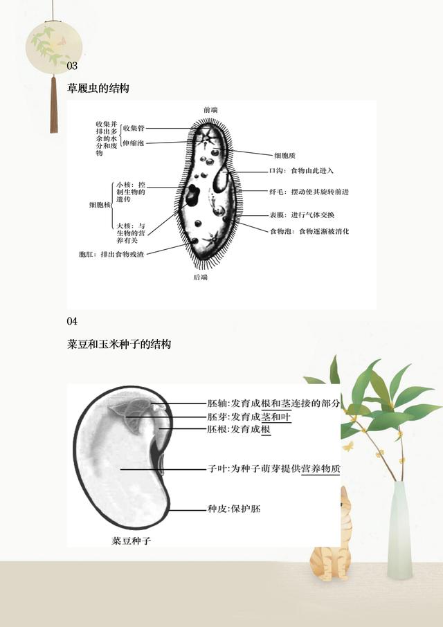 二四六香港免费开将记录,初中生物全册知识结构图，整理完整，重点班笔记，收藏学习提高