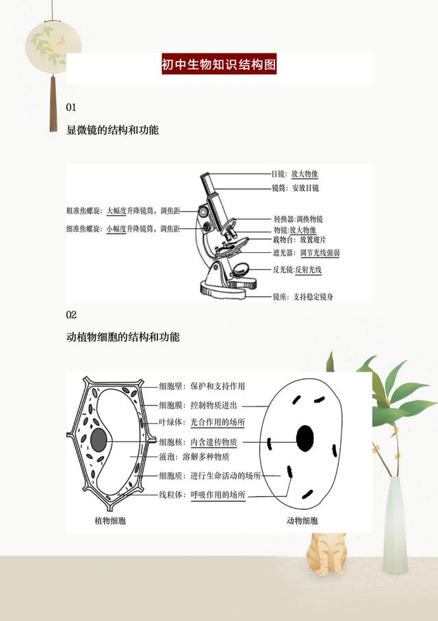 二四六香港免费开将记录,初中生物全册知识结构图，整理完整，重点班笔记，收藏学习提高  第1张