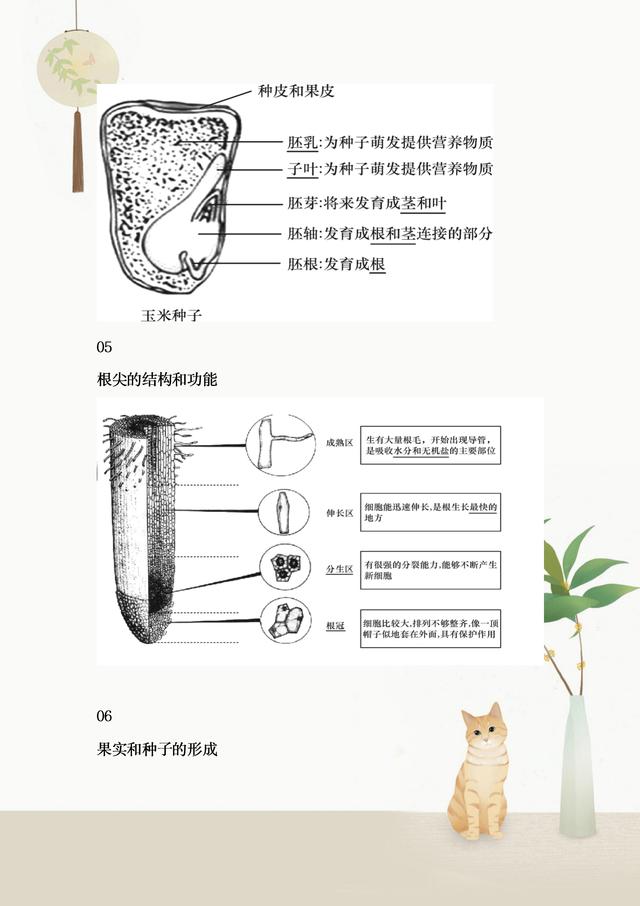 二四六香港免费开将记录,初中生物全册知识结构图，整理完整，重点班笔记，收藏学习提高