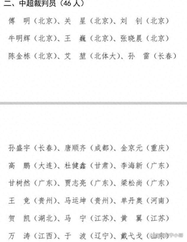 2024新奥门资料最精准免费大全_中超新赛季裁判名单出炉：马宁、傅明领先46人，北京旗下占十人  第3张