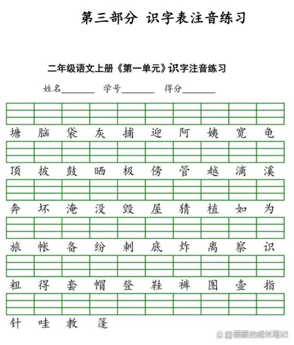 2024一肖一码100%中奖_二年级语文期末复习，掌握这一份资料就够了