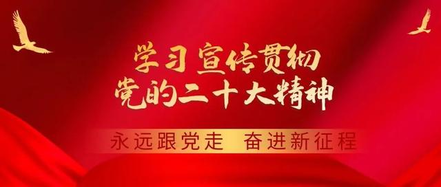 新澳2024管家婆资料_「要闻」回民区开展警示教育主题党日活动  第1张